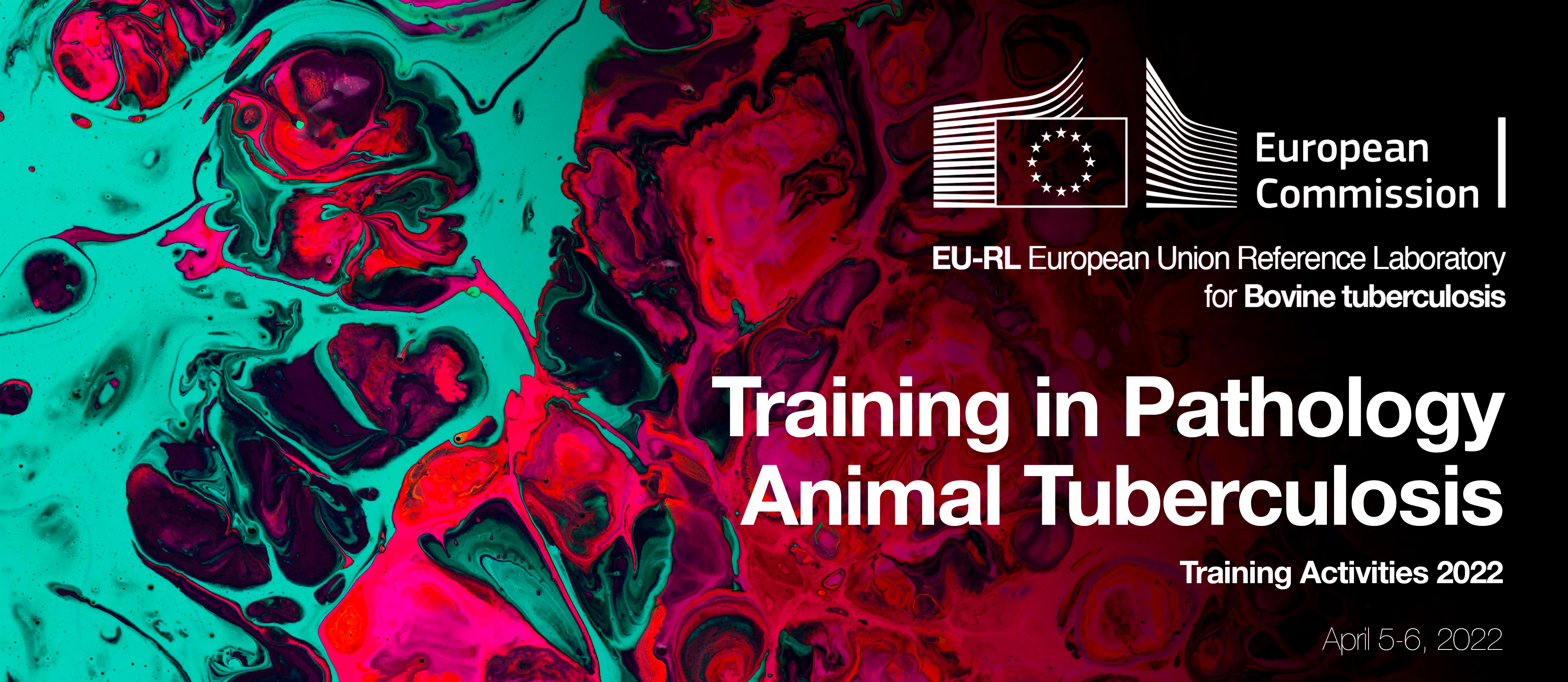 Training Session in Pathology Animal Tuberculosis
